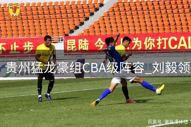贵州猛龙豪组CBA级阵容 刘毅领衔冲击职业联赛升级名额